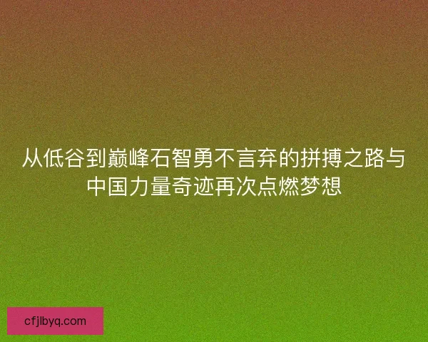 从低谷到巅峰石智勇不言弃的拼搏之路与中国力量奇迹再次点燃梦想
